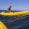 Sea-kayaking Hermanus