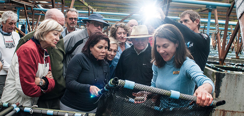 Guided Abalone Farm tours