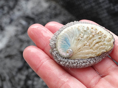 Guided Abalone Farm tours