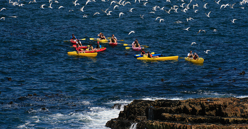 Sea Kayaking