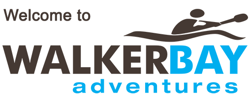 WalkerBay HomePage Logo